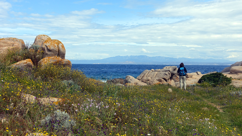 2016-05-02_111000 sardinien-2016.jpg - Wanderung am Capo Test